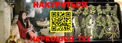 амф Новодвинск