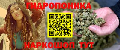 амф Новодвинск
