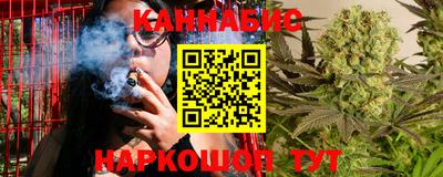 амф Новодвинск
