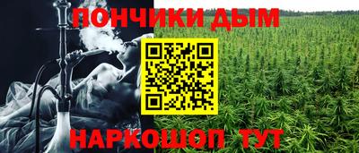 амф Новодвинск